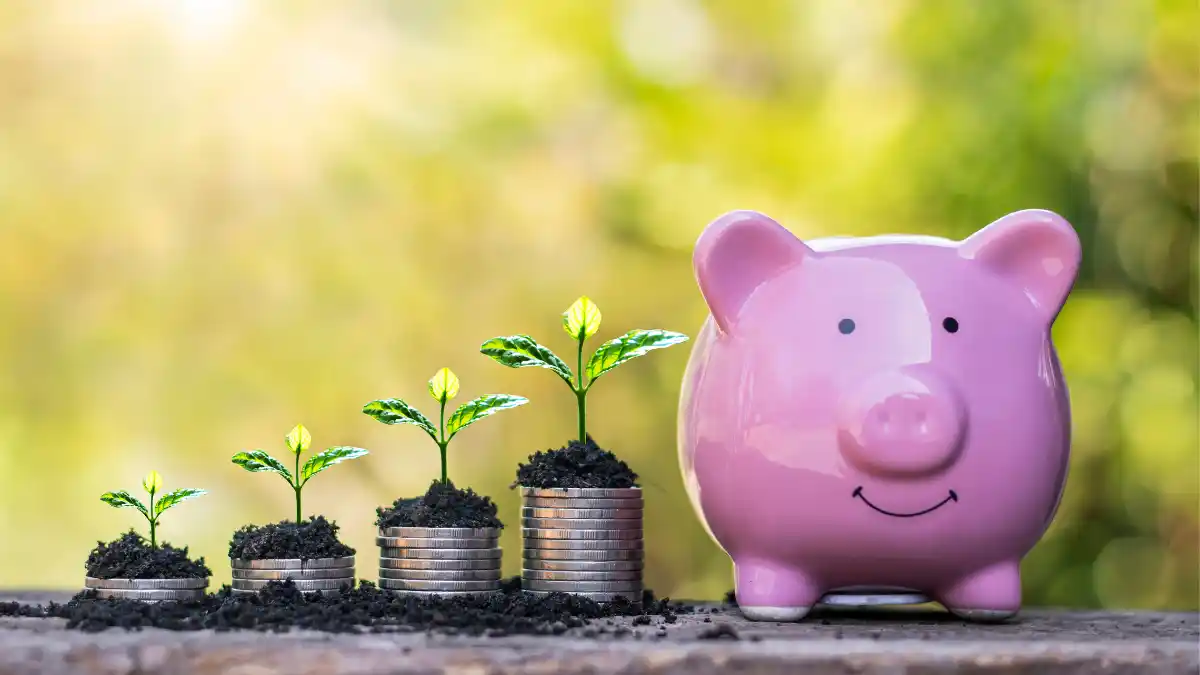 What is a Mutual Fund and It's Benefits